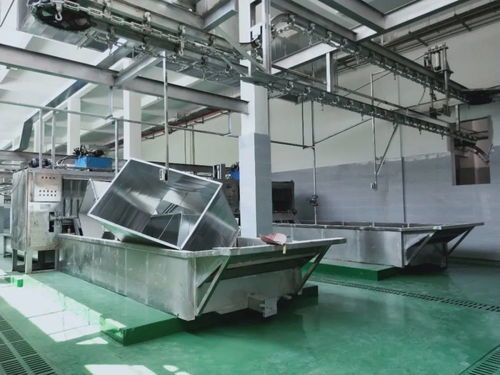 這個a級畜禽屠宰加工廠即將投產 產品將銷往全國各地